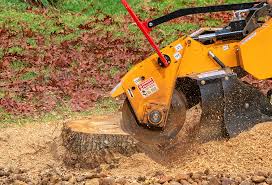 Trusted Jamul, CA Tree Removal Experts