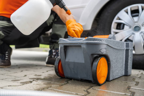 Best Seasonal Cleanup (Spring/Fall)  in Jamul, CA